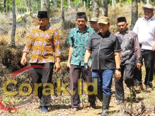 Bupati Azhari Dorong Warga Desa Mangkurajo Lakukan Inovasi Pertanian