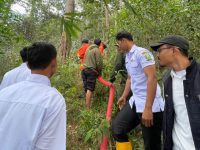 Hutan Pinus di Lebong Terbakar, BPBD Sigap Padamkan Api
