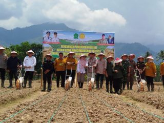 5 Hektar Lahan Kedelai Ditanam di Lebong, Bagian dari Program Optimasi Lahan Non Rawa