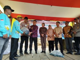Bupati Azhari Tebar 75 Ribu Ekor Ikan Mas, Hidupkan Kembali Kejayaan Lumbung Ikan