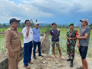 Komisi III DPRD Lebong Tinjau Sawah Kering di Sukau Rajo dan Tunggang, Terapkan Sistem Buka Tutup Pintu Air