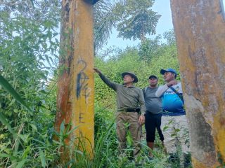 Bupati Lebong dan DPRD Tinjau Langsung Jembatan Gantung Desa Tik Sirong